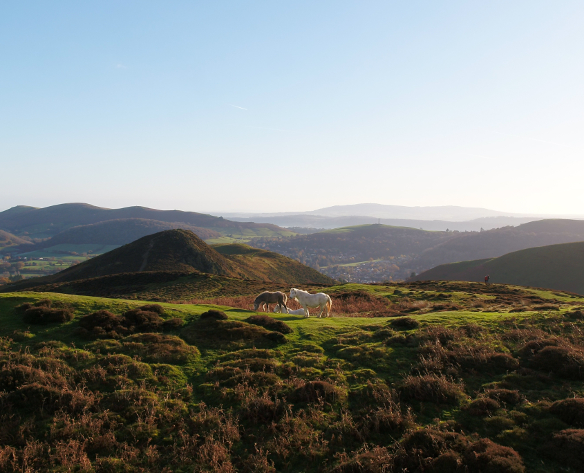 Visit The Shropshire Hills